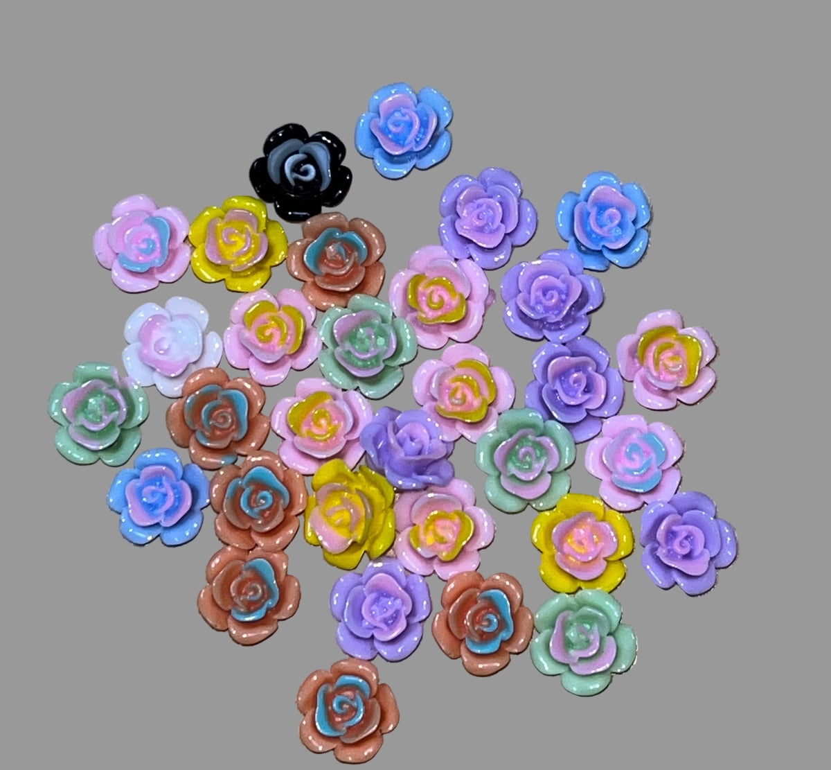 Colorful Rose Garden